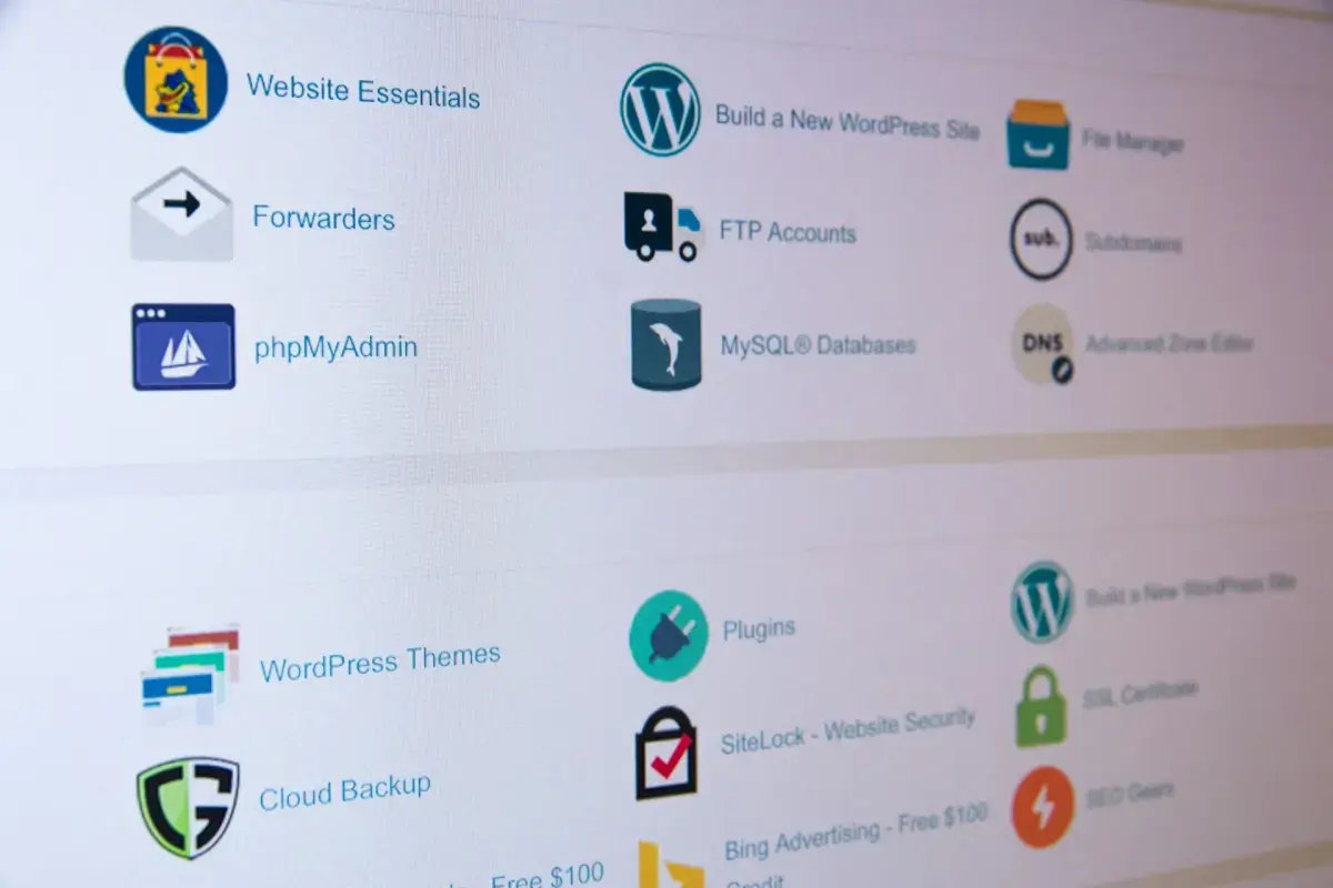 Your Ultimate Guide to Website Hosting Options